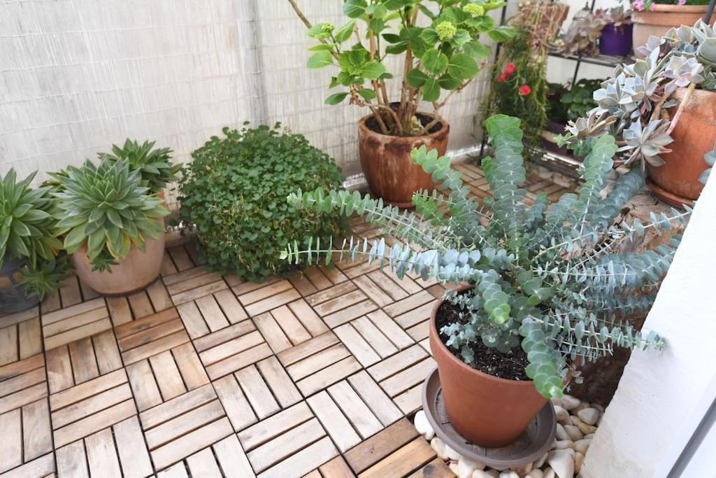 Apartman Ilijana Zadar Zewnętrze zdjęcie
