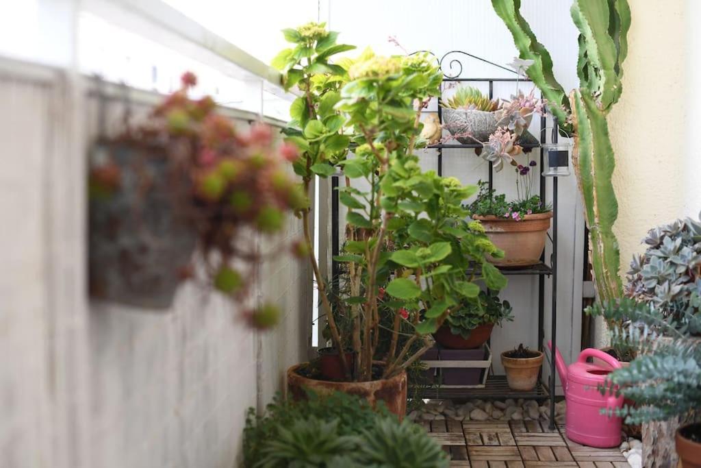 Apartman Ilijana Zadar Zewnętrze zdjęcie